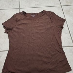 Zara Brown Women's Top